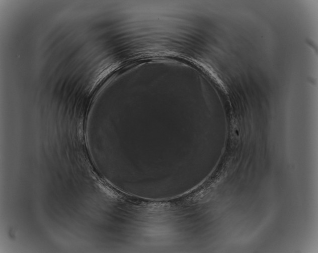 X0000091530889200709071038