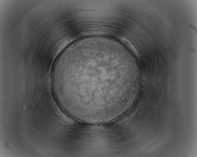 X0000091530890200709071038