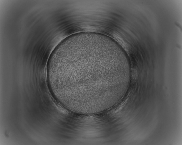 X0000091530891200709071038