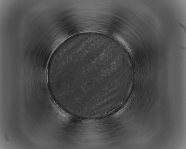 X0000091530892200709071038