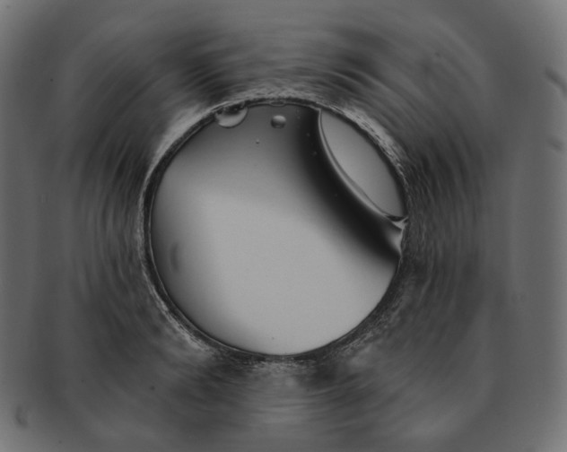 X0000091530894200709071037