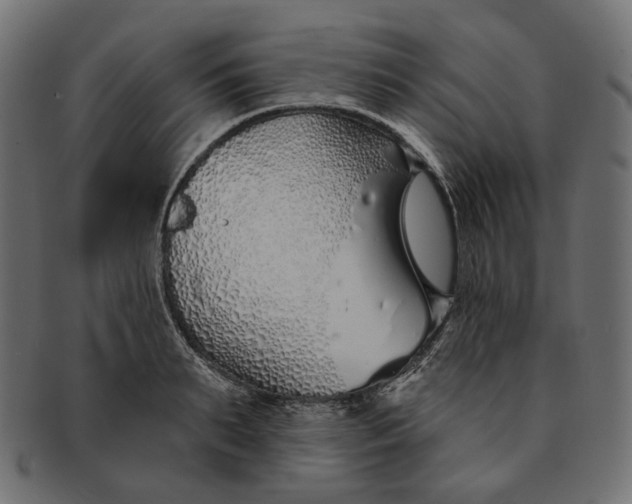 X0000091530895200709071037