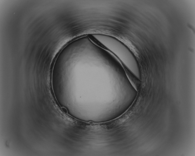 X0000091530896200709071037