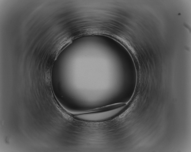 X0000091530897200709071037