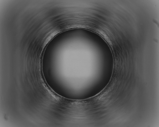 X0000091530898200709071037