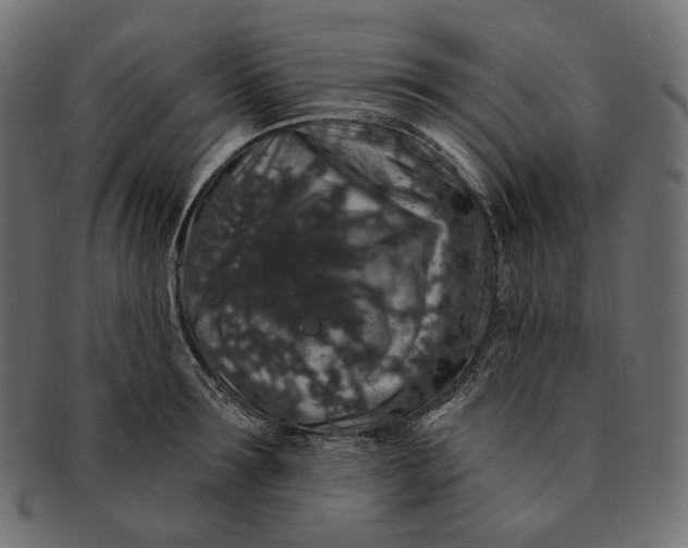 X0000091530899200709071037