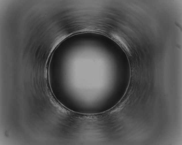 X0000091530900200709071037