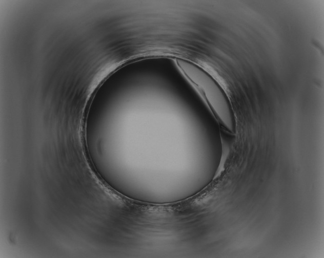 X0000091530901200709071037