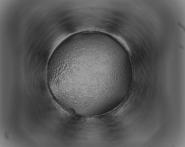X0000091530903200709071037