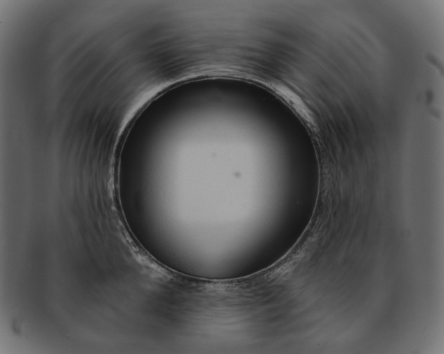 X0000091530904200709071037