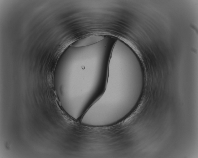 X0000091530905200709071037