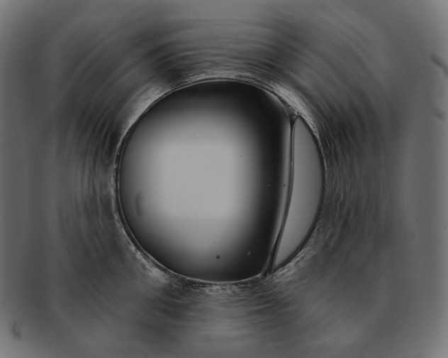 X0000091530906200709071037
