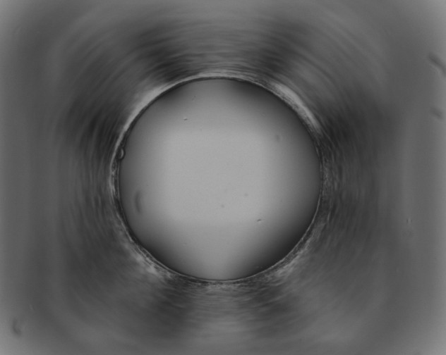X0000091530908200709071037