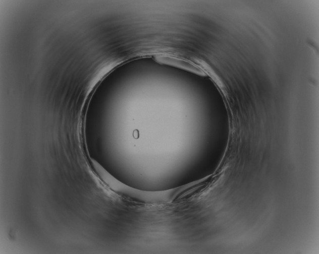 X0000091530909200709071037