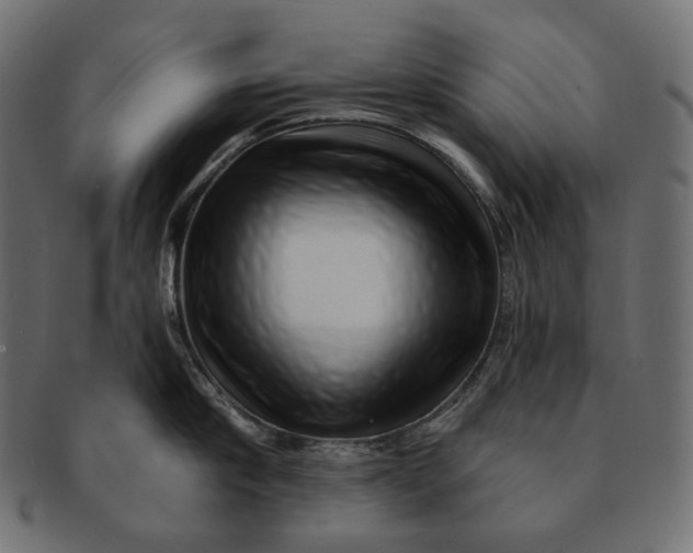 X0000091530910200709071037
