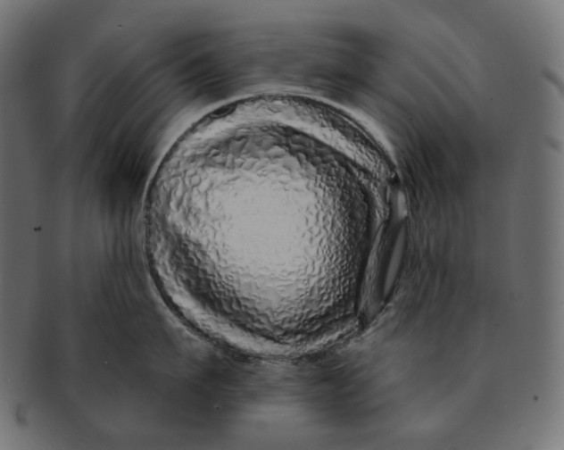 X0000091530911200709071037