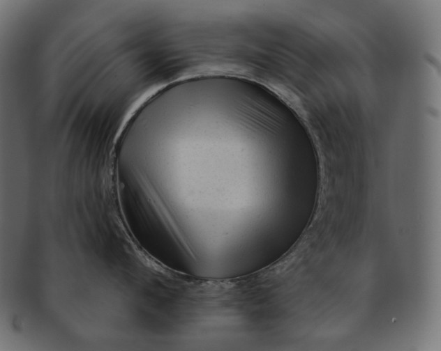 X0000091530912200709071037