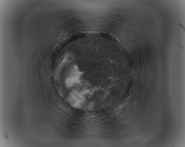 X0000091530913200709071037