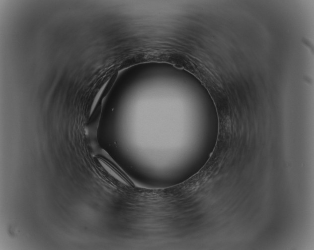 X0000091530914200709071037