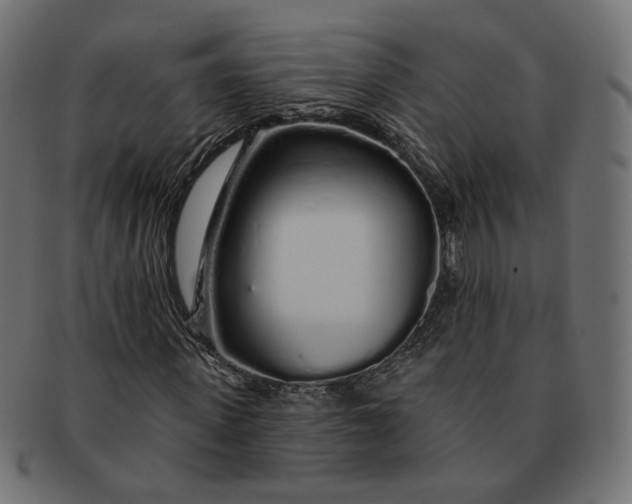 X0000091530915200709071037
