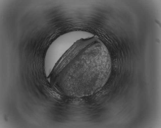 X0000091530916200709071037