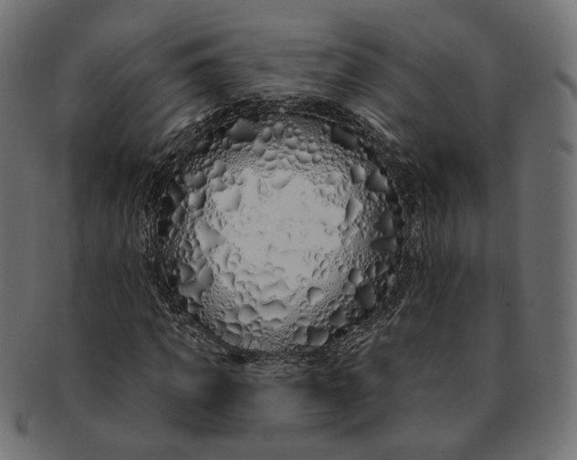 X0000091530917200709071037
