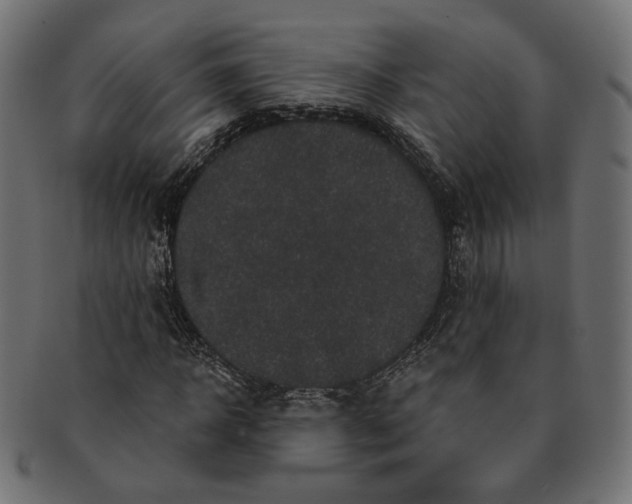 X0000091530918200709071037