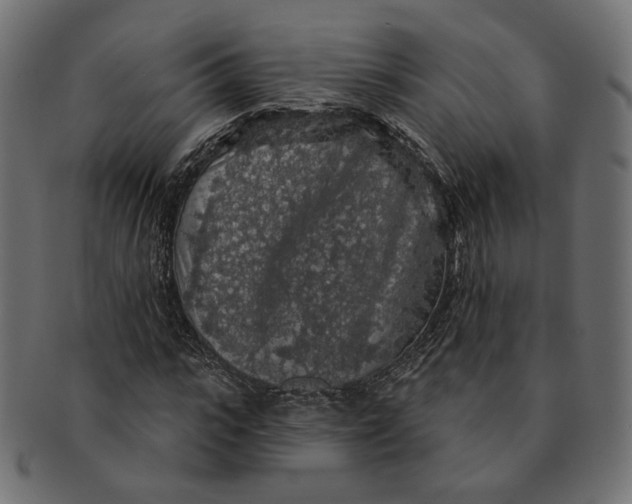 X0000091530919200709071037