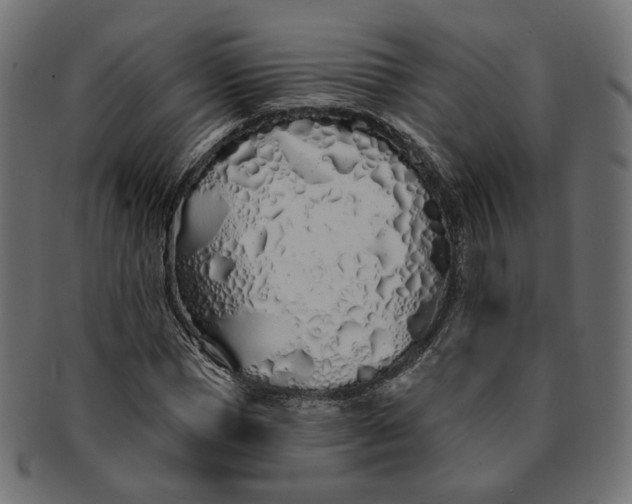 X0000091530921200709071037