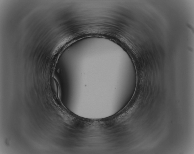 X0000091530922200709071037
