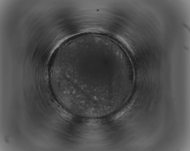 X0000091530923200709071037
