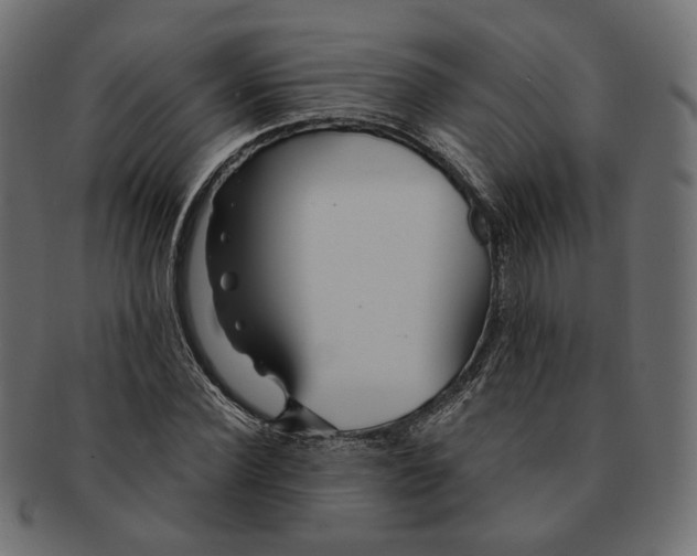 X0000091530924200709071037