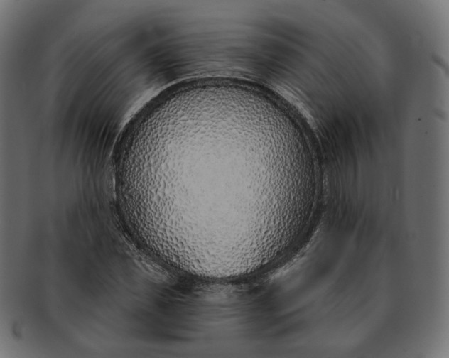 X0000091530925200709071037