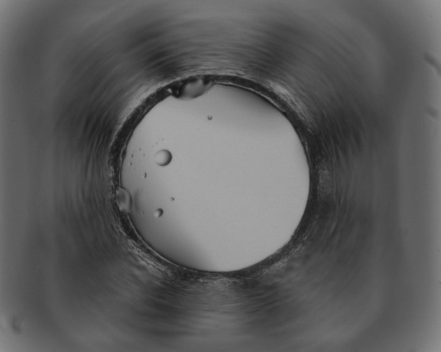 X0000091530926200709071037