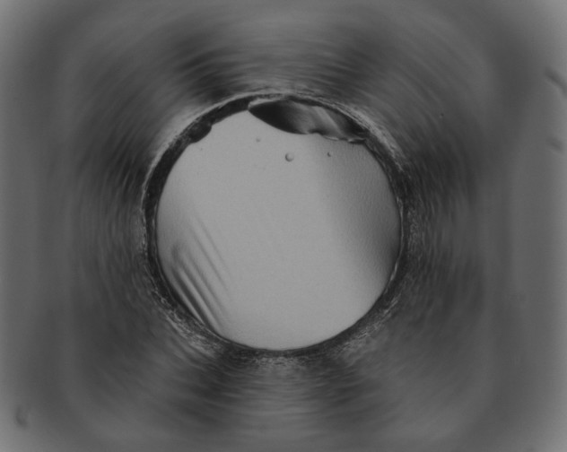 X0000091530927200709071037