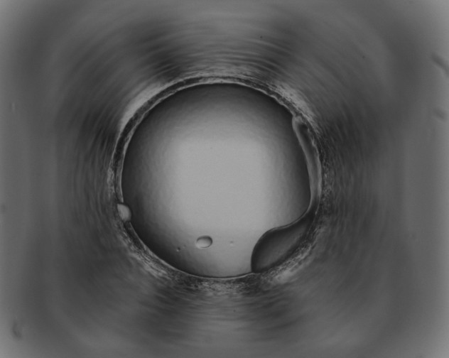 X0000091530928200709071037