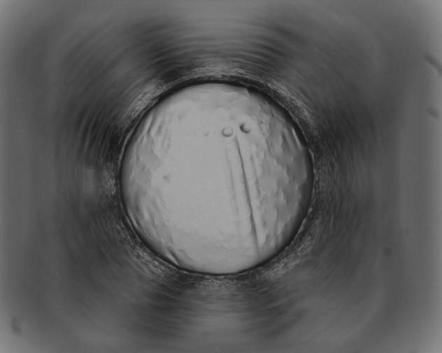 X0000091530929200709071037