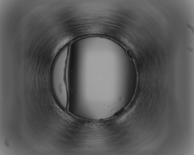X0000091530930200709071037