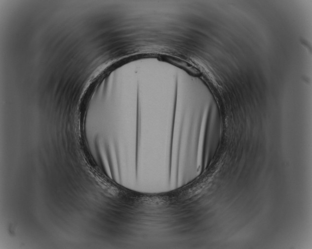 X0000091530931200709071037