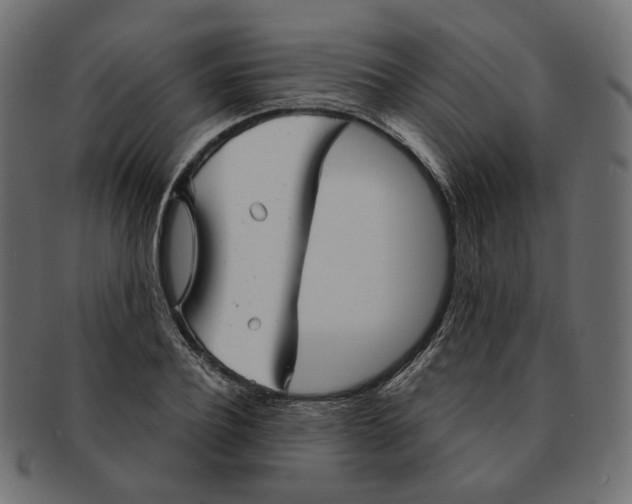 X0000091530932200709071037