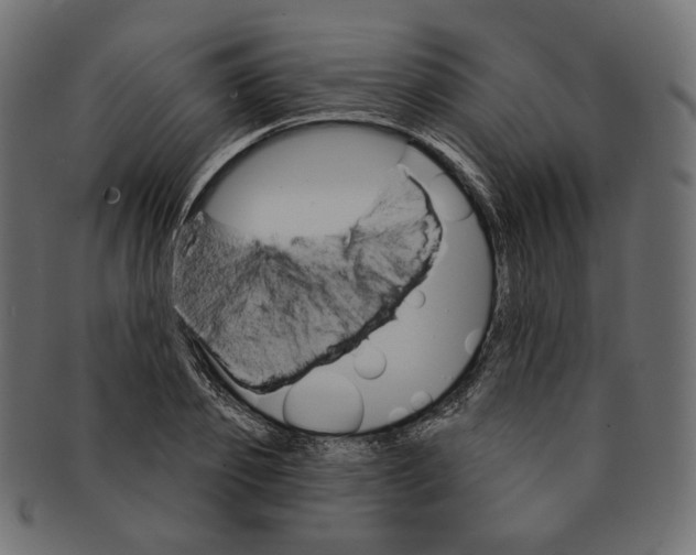 X0000091530933200709071037