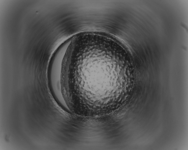 X0000091530935200709071037