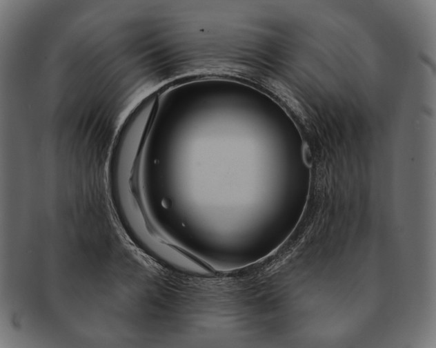 X0000091530936200709071037