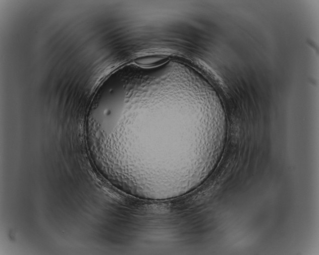 X0000091530937200709071037