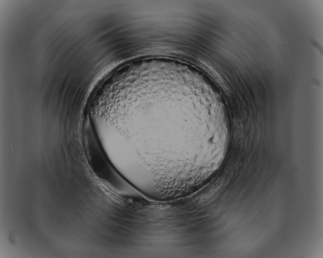 X0000091530939200709071037