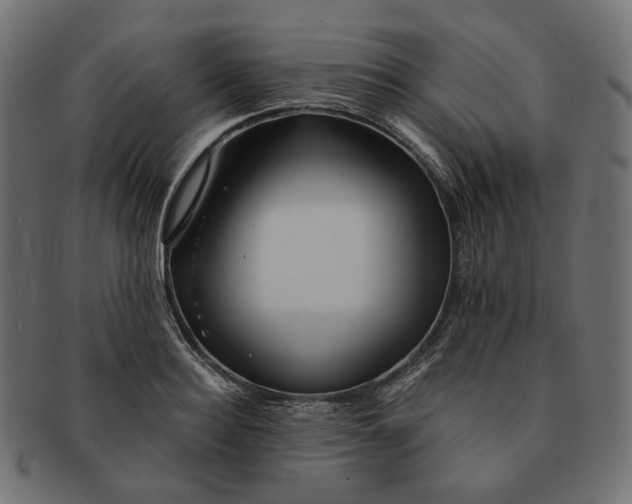 X0000091530940200709071037