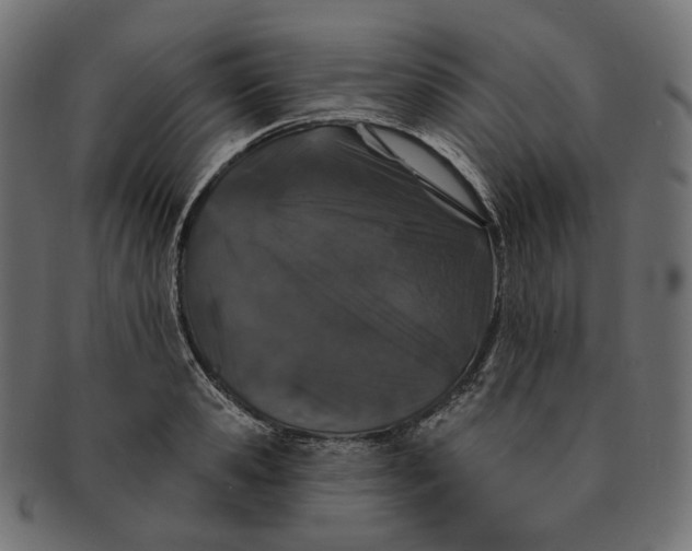 X0000091530941200709071037