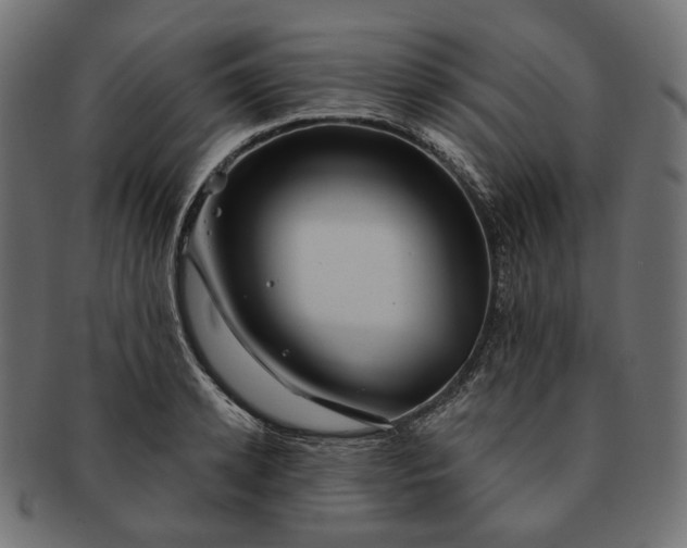 X0000091530942200709071037