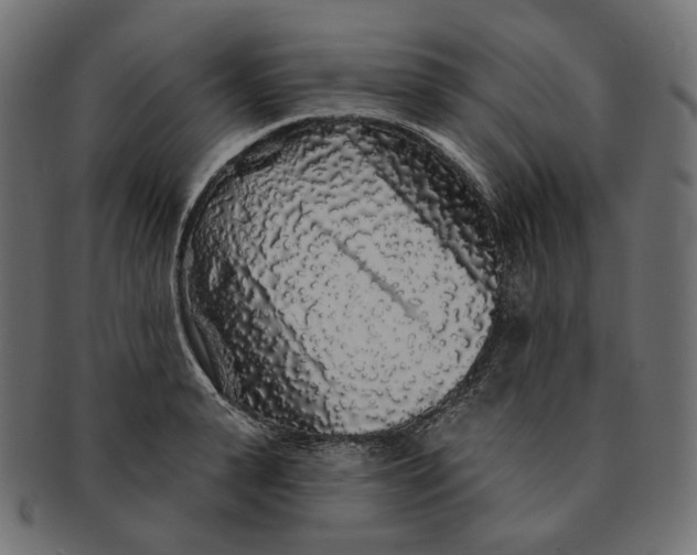 X0000091530943200709071037