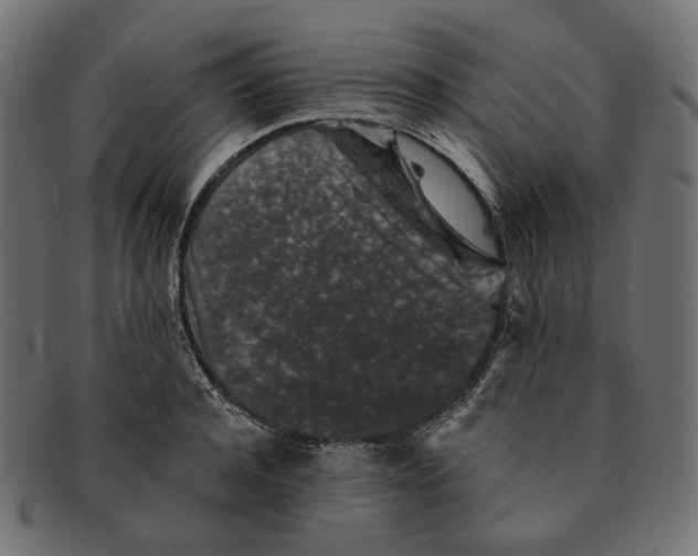 X0000091530944200709071037